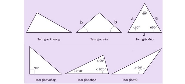 Tổng hợp các tam giác trong toán học